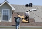 Nelsonskylights-2.jpg; ?>